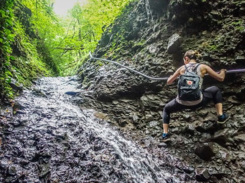 Danube Bend: Full-Day Hiking Tour from Budapest - The Visegrád Castle and Cultural Touches