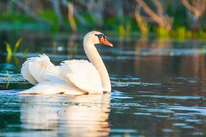 Danube Delta and Black See - 2 Days Private Tour from Bucharest - FAQs