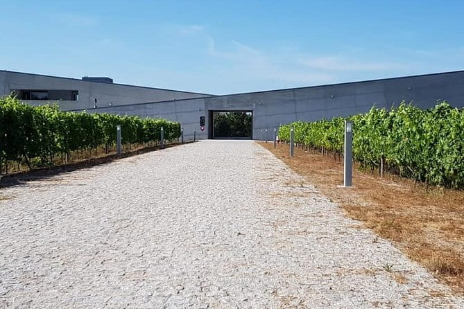 Dão Wine Region: Portuguese version on Bordeaux - Discovering Portugal’s Dão Wine Region: A Balanced Look at a Unique Day Trip