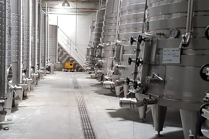 Dão Wine Region: Portuguese version on Bordeaux - Price and Logistics — Is It Worth It?