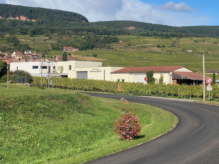 Dare to Alsace Wine With a Feminine Touch - Recap