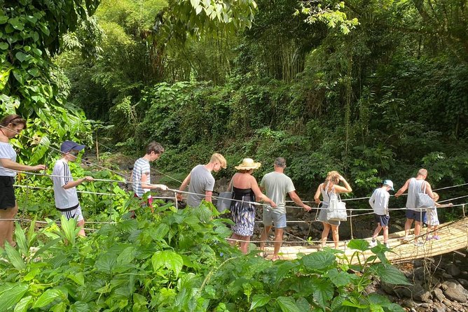 Dark View Falls Private Tour - Inclusions