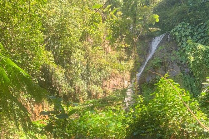 Dark View Falls Private Tour - Guest Feedback and Recommendations