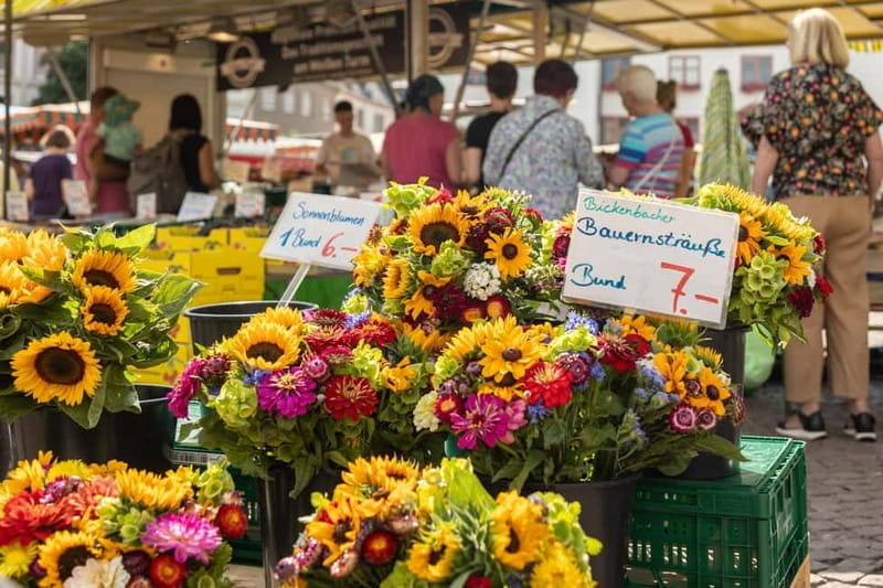 Darmstadt Market Chatter Culinary tour of the weekly market - Practical Details: Logistics that Matter