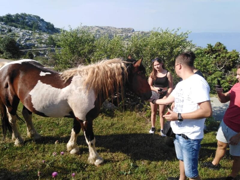Dawn on the top of Biokovo - The Experience of Dawn and Nature
