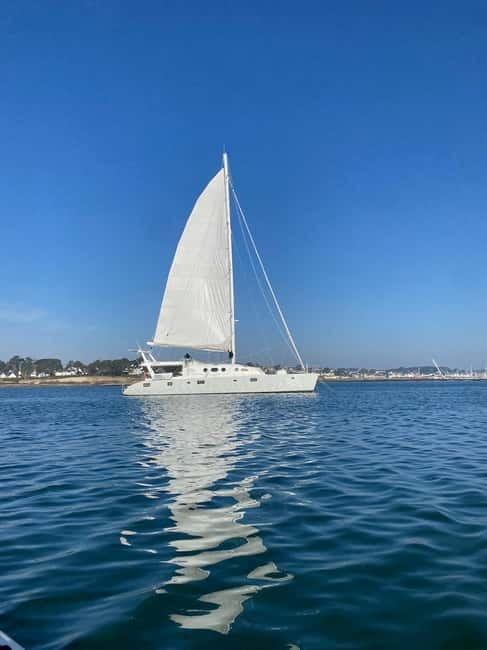 Day cruise on a maxi-catamaran in Quiberon Bay - Setting Sail from La Trinité-sur-Mer