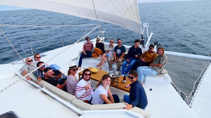 Day cruise on a maxi-catamaran in Quiberon Bay - The Return Voyage and End of the Day