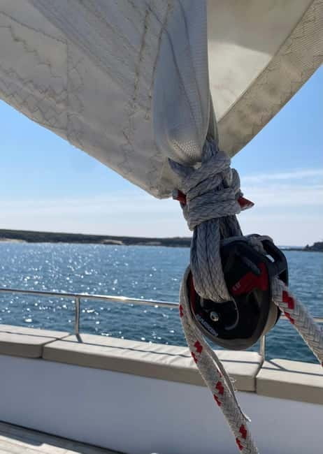 Day cruise on a maxi-catamaran in Quiberon Bay - Who This Trip Suits Best
