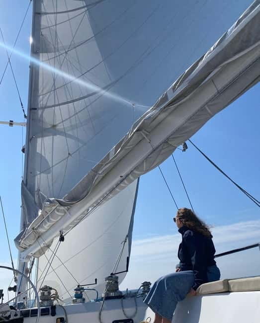 Day cruise on a maxi-catamaran in Quiberon Bay - Final Thoughts: Is It Worth It?