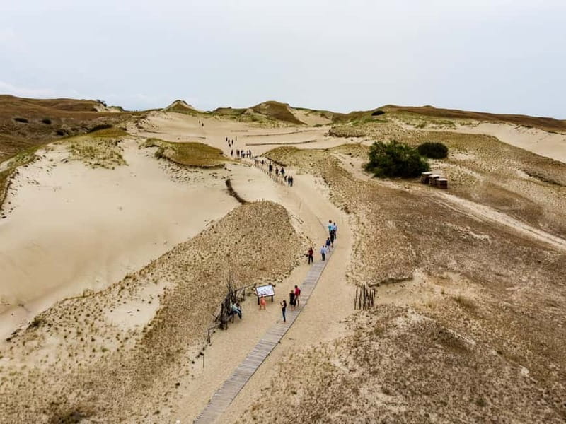 Day Group Tour: Curonian spit (Neringa) from Klaipeda DFDS - Key Points / Takeaways