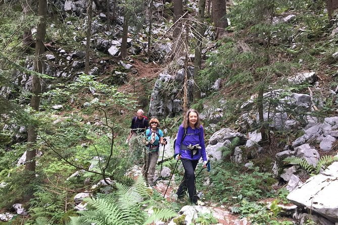 Day Hike in National Park Risnjak from Zagreb - Entering the Wilderness: What the Tour Includes