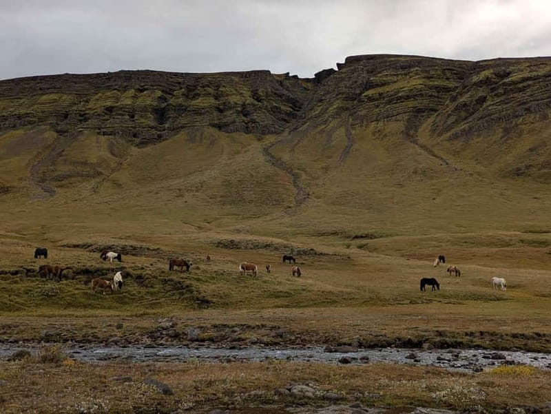 Day Hike to Grimannsfell: Waterfall & Legacy - moderate - Price and Value Consideration