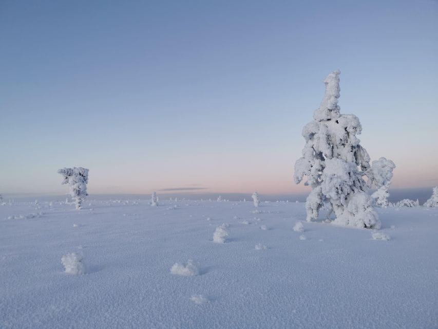Day in the Tundra - Winter Trek & Smoke Sauna - Inclusions
