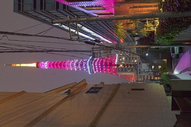 Day Private City Tour of Tokyo With English Speaking Driver - Accessibility and Participation