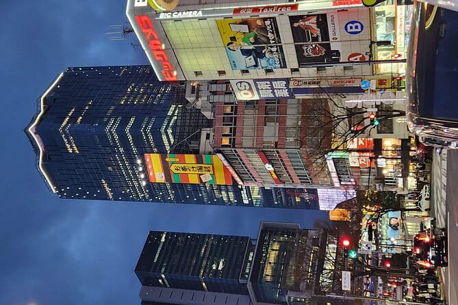 Day Private City Tour of Tokyo With English Speaking Driver - Navigating Shibuya Crossing