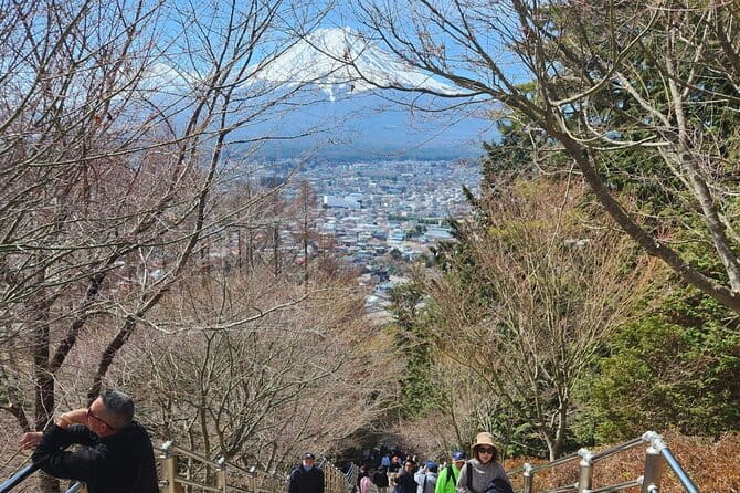 Day Private Tour of Hakone With English Speaking Driver - Admiring the Views of Lake Ashinoko