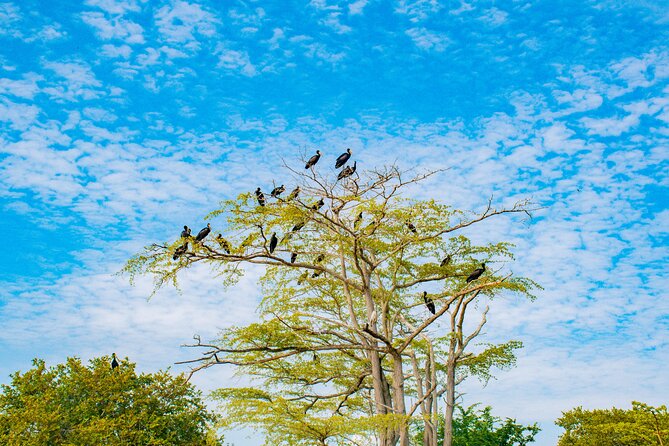 Day Safari Tour to Selous Game Reserve From Zanzibar - Booking and Confirmation Details