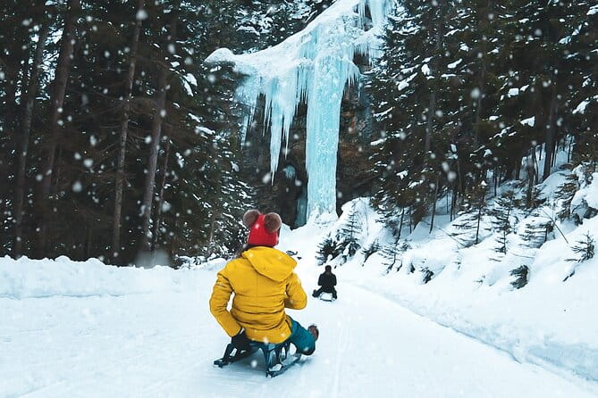 Day Sledding in Interlaken - Key points / Takeaways