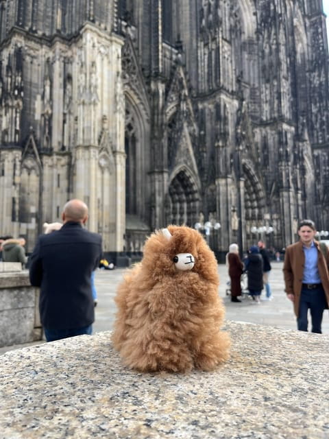 Day tour Aachen & Cologne from Brussels - Exploring Aachen: More Than Just a German City