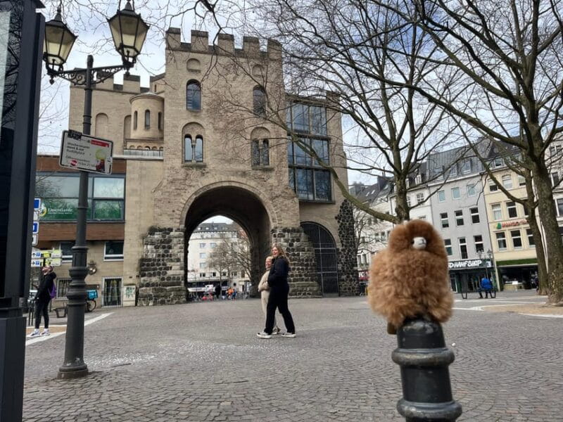 Day tour Aachen & Cologne from Brussels - Who Is This Tour Ideal For?