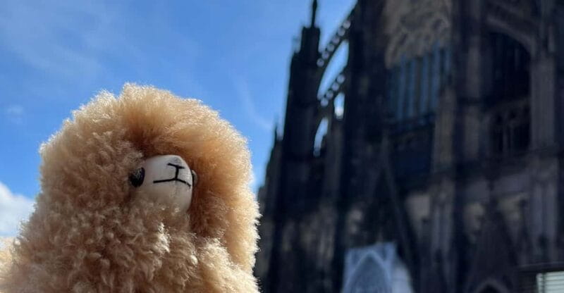 Day tour Aachen & Cologne from Brussels - Final Thoughts