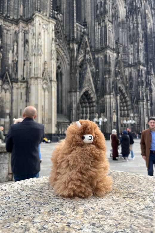 Day tour Aachen & Cologne from Brussels - Frequently Asked Questions