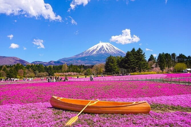 Day Tour at Mt. Fuji, Kawaguchi Lake and Oshino Hakkai in Tokyo - Key Points
