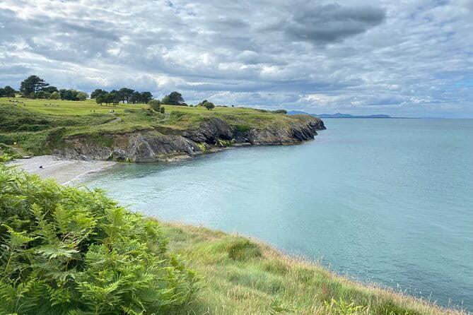 Day Tour from Dublin to Wicklow: Cliffs, Heritage, Wildlife, Gaol - Key Points / Takeaways