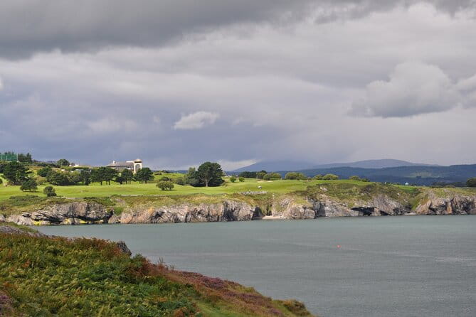 Day Tour from Dublin to Wicklow: Cliffs, Heritage, Wildlife, Gaol - Wicklow Town: A Historic Seaside Gem
