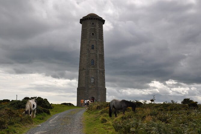 Day Tour from Dublin to Wicklow: Cliffs, Heritage, Wildlife, Gaol - Final Thoughts
