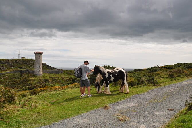 Day Tour from Dublin to Wicklow: Cliffs, Heritage, Wildlife, Gaol - FAQ