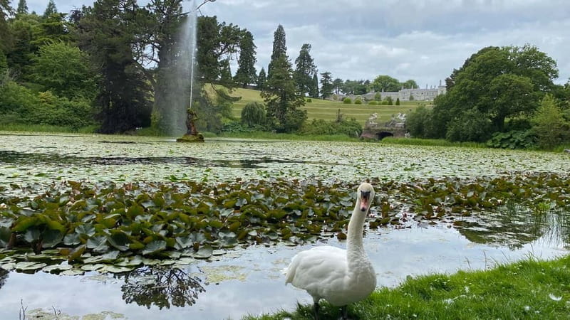 Day Tour from Dublin: Wicklow Best Gardens and Countryside - FAQ
