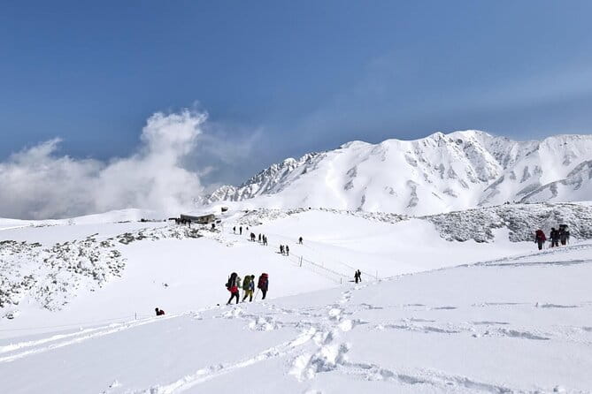 Day Tour From Kanazawa & Toyama: Snow Wall and Mysterious Valley - Tips for a Memorable Tour Experience