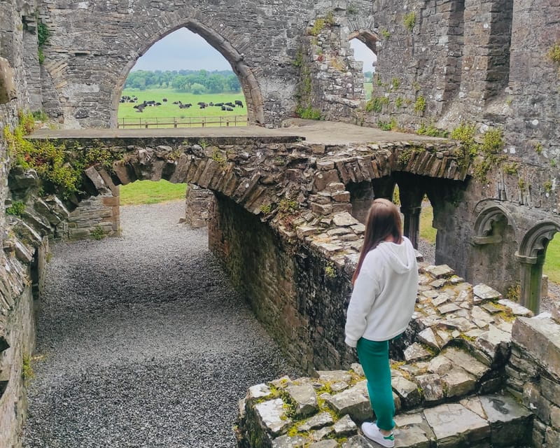 Day Tour: Hill of Tara Trim Castle Boyne Valley Celtic sites - Frequently Asked Questions