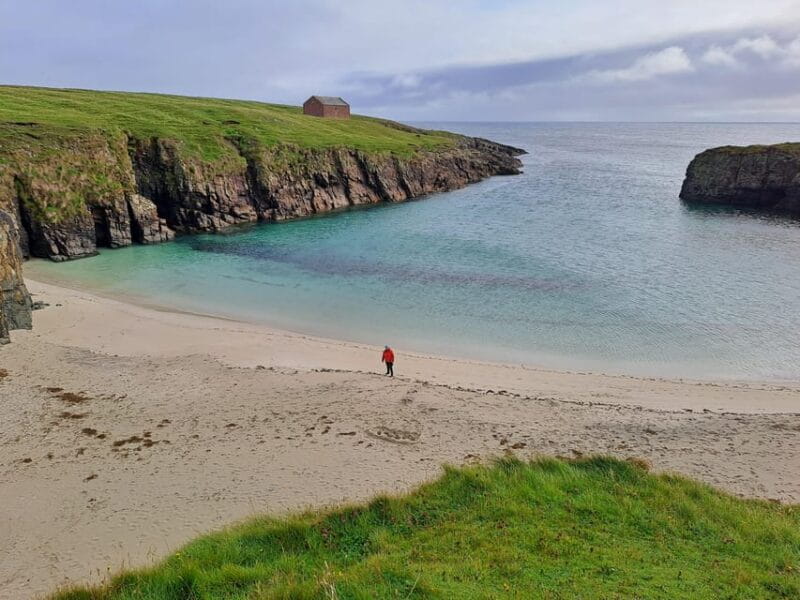 Day tour of Scotland Highlights - Who Should Consider This Tour?