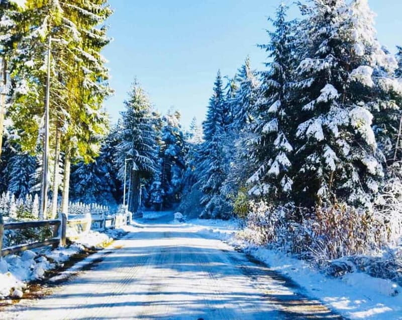 Day Tour: Ski Borovets & Relax in Thermal Pools and Sauna - Relaxation and Wellness: Thermal Pools and Saunas