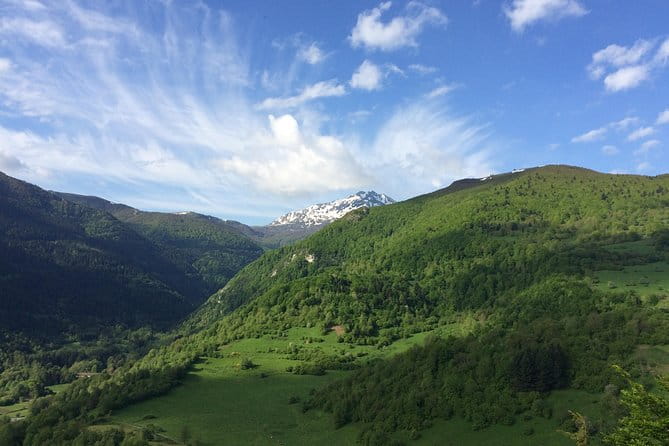 Day Tour to Mirepoix, Montségur, Camon. Private tour from Carcassonne - Transportation, Timing, and Logistics