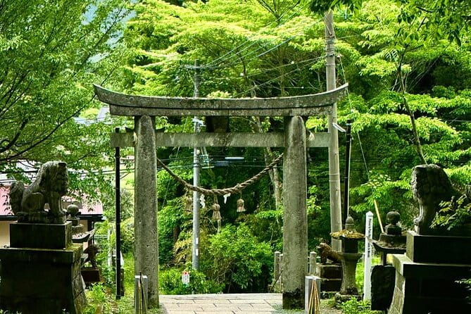 Day Tour to Miyazaki Takachiho Gorge & Shrine Depart From Fukuoka - Accessibility and Transportation