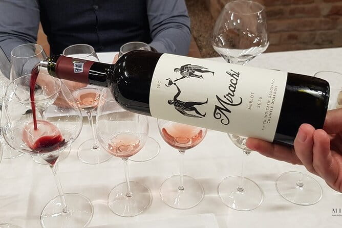 Day Tour: Visit Histria Winery and Ancient Citadel - Exploring a Land of Ancient Echoes and Fine Wines