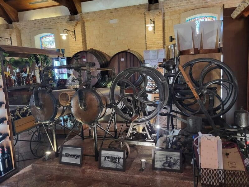 Day Trip and Discover the Heart of Alicantes Wine Country! - Key points / Takeaways