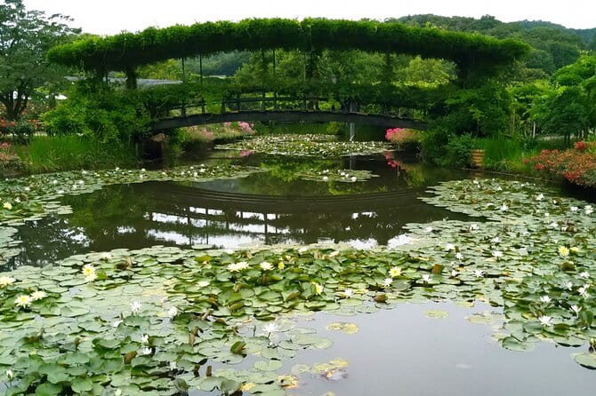 Day Trip Ashikaga Flower Park by Private Car From Tokyo - Lunch Arrangements