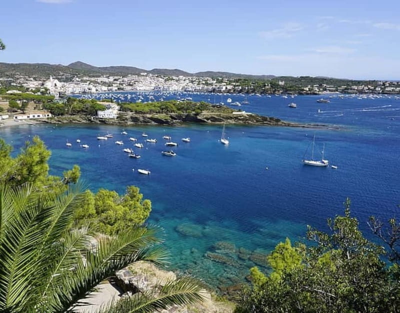 Day trip Cadaqués & Roses from Barcelona - Costa Brava - Setting Out from Barcelona: Comfort and Convenience