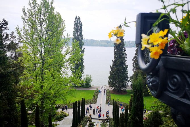 Day Trip Flower Island of Mainau including Meersburg - Practical Tips for Making the Most of the Tour