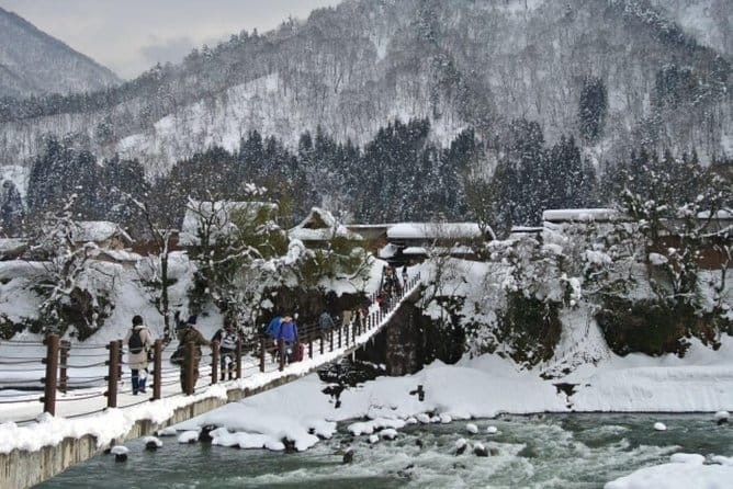 Day Trip for Shirakawago ,Takayama & Gujo Hachiman From Nagoya - Tour Experiences and Feedback