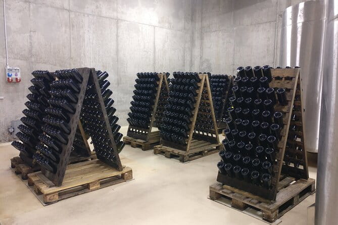 Day trip from Bratislava: Winery Tour with Wine Tasting in the Countryside - Exploring the Heart of Slovakia’s Wine Country