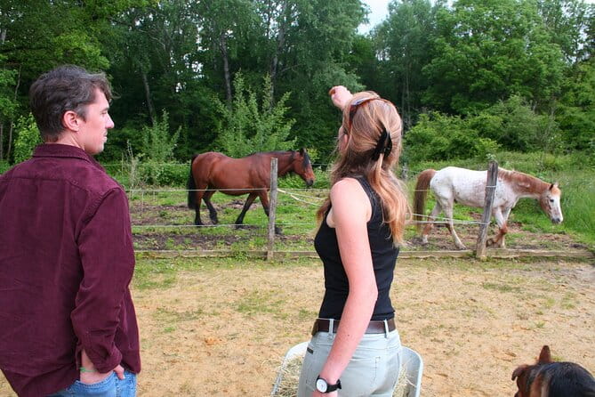 Day Trip from Paris - French Food, Rural Experiences & Horses! - Price and Value Analysis