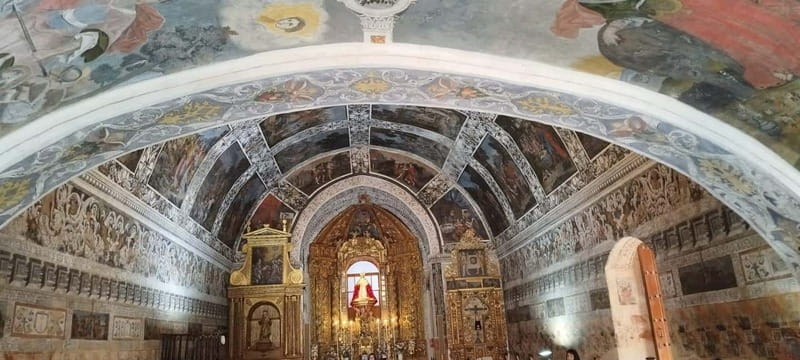 Day trip from Seville: Extremadura's Sistine Chapel and Llerena - Practical Details and Logistics