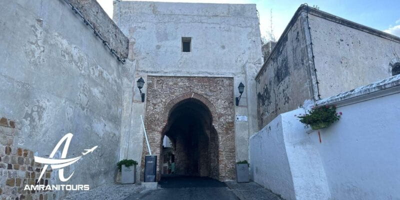 Day trip from Seville to Tangier all inclusive - Returning to Seville: Long but Worthwhile