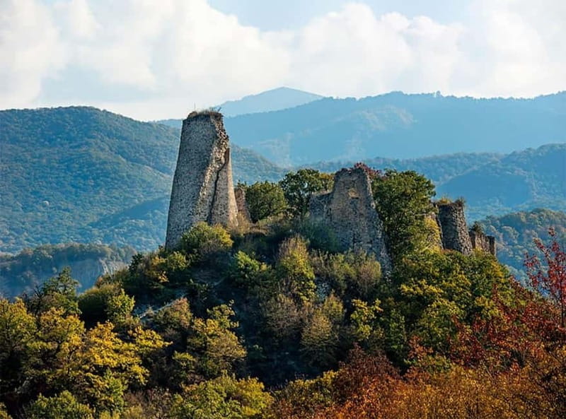 Day trip in Kakheti-Beauty and Love in a Glass Wine - Practical Tips for Making the Most of Your Trip