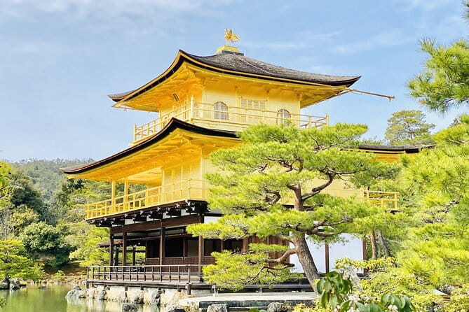 Day Trip Kyoto From Tokyo With a Licensed Guide by Bullet Train - Key Points